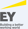 Ernst &amp; Young