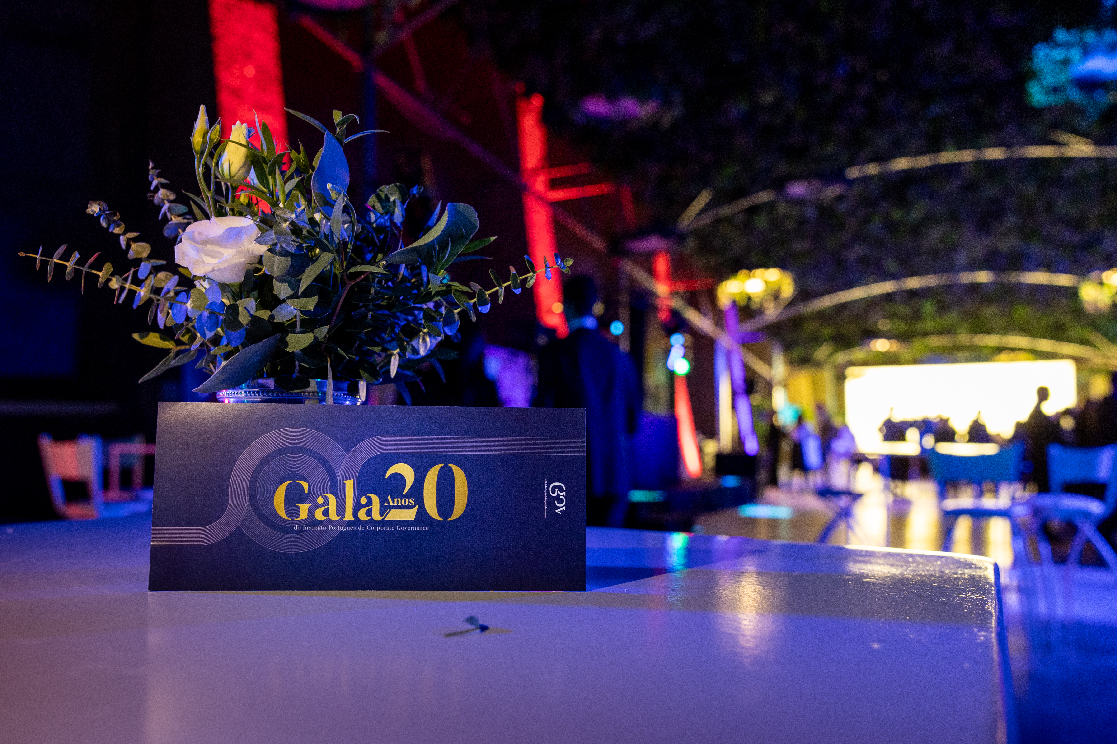 Celebração dos 20 Anos do IPCG
