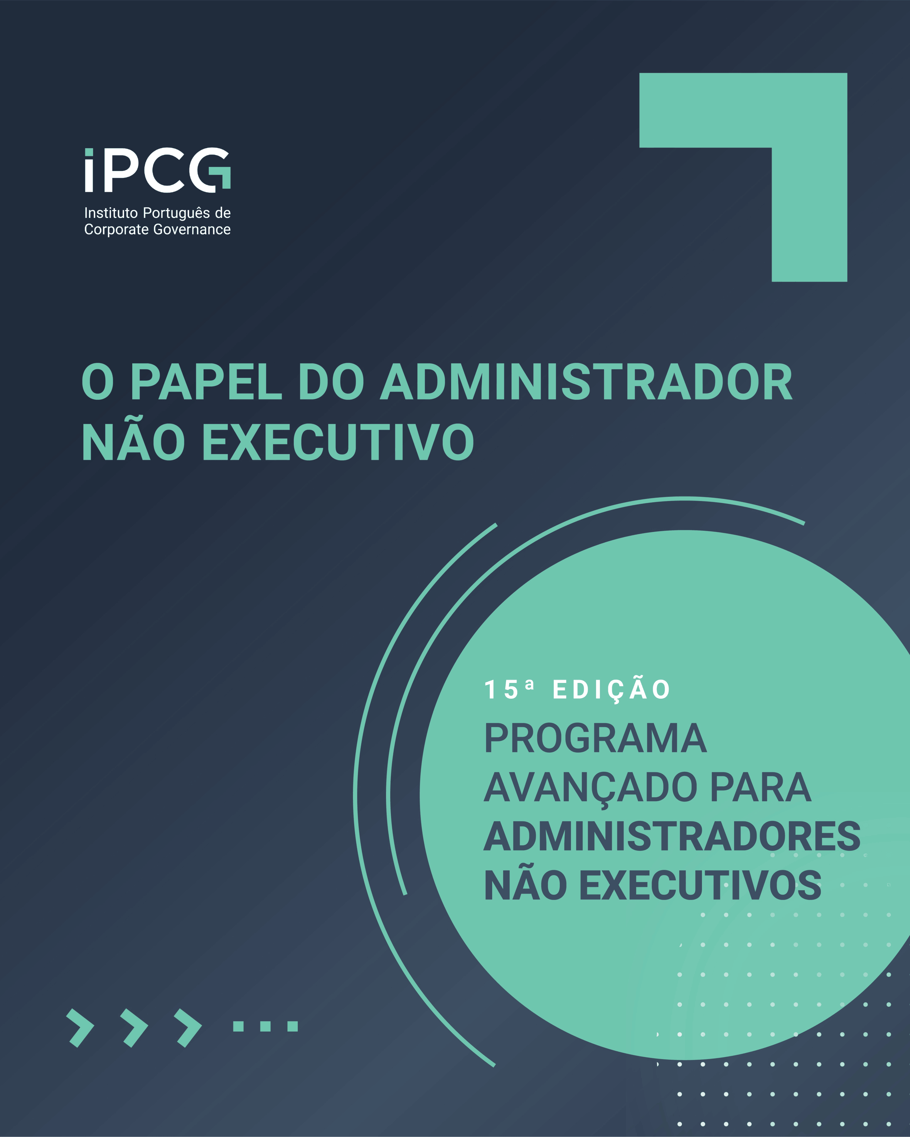 O Papel do Administrador n&atilde;o Executivo